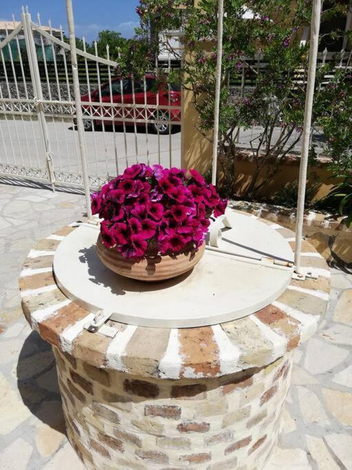 Sunny Stay Furnished Apartment In Kanoni エクステリア 写真