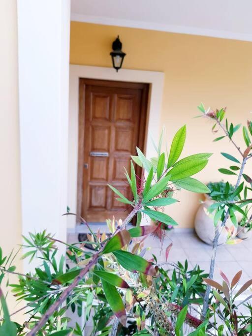 Sunny Stay Furnished Apartment In Kanoni エクステリア 写真