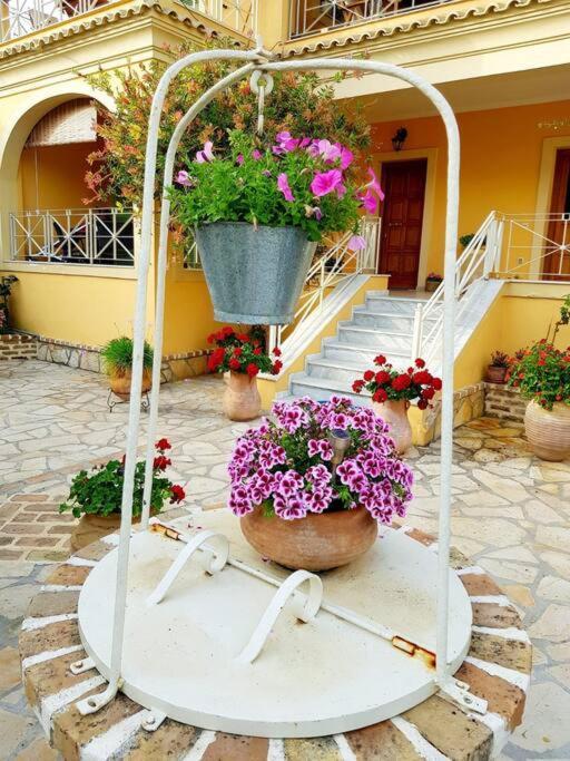 Sunny Stay Furnished Apartment In Kanoni エクステリア 写真